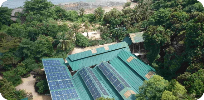 Canopy Power Cempedak solar panels